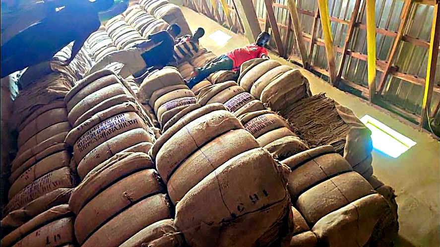 Bales of jute sacks stacked floor to roof inside the BMAgro warehouse